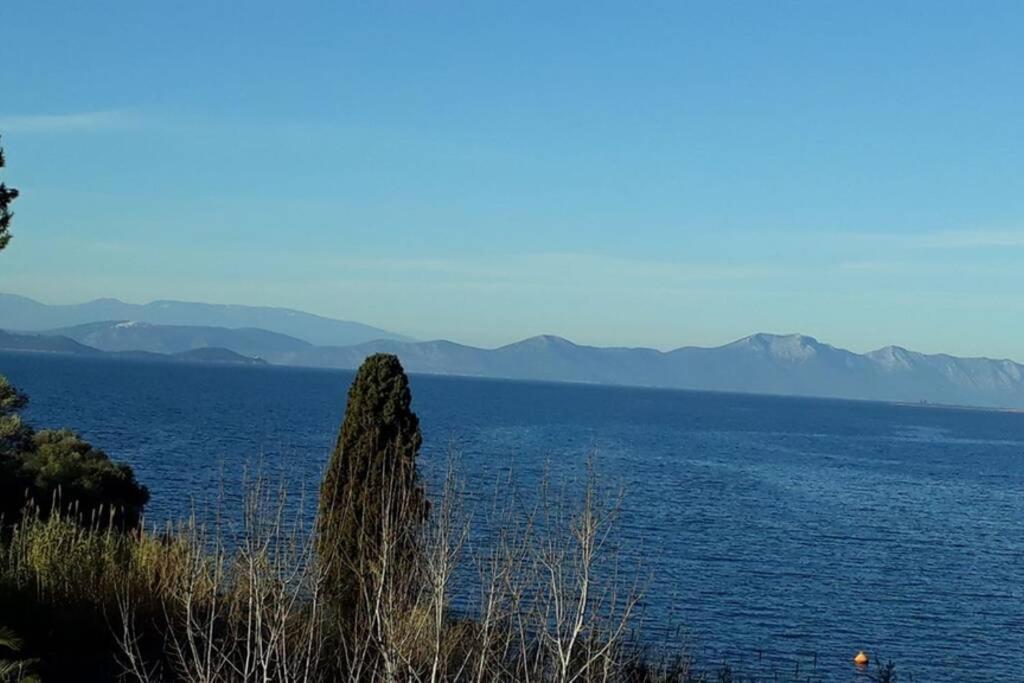 Amazing Sea View-Neos Pyrgos Beach -Evoia Greece Néos Pírgos Eksteriør billede