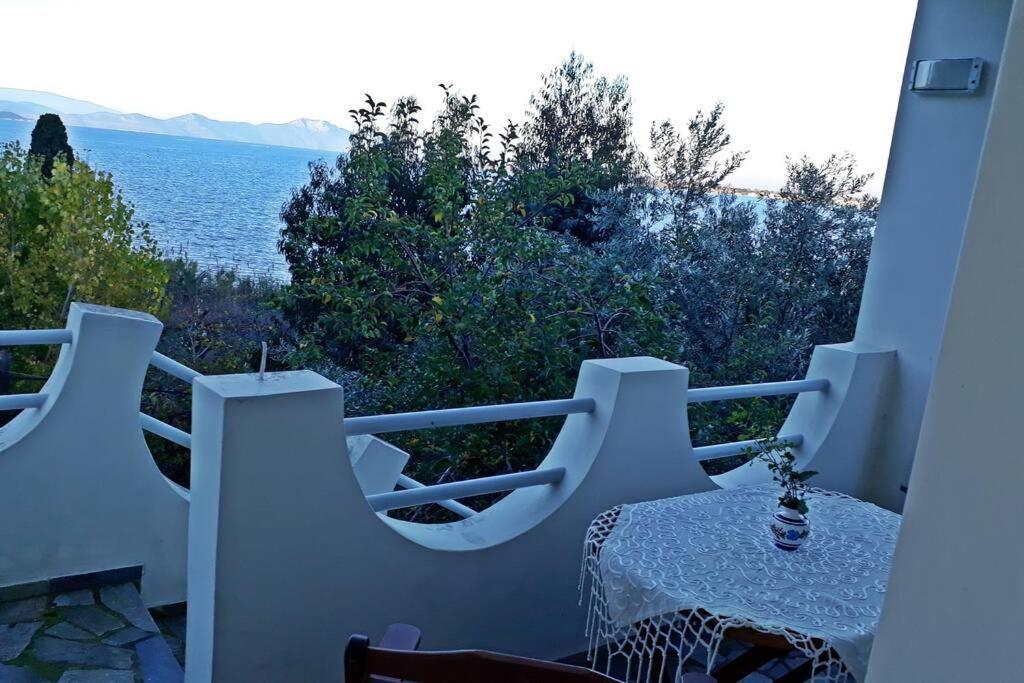 Amazing Sea View-Neos Pyrgos Beach -Evoia Greece Néos Pírgos Eksteriør billede