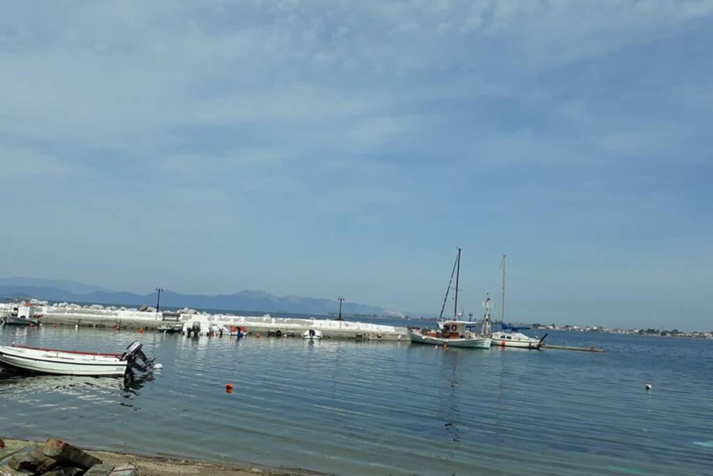Amazing Sea View-Neos Pyrgos Beach -Evoia Greece Néos Pírgos Eksteriør billede