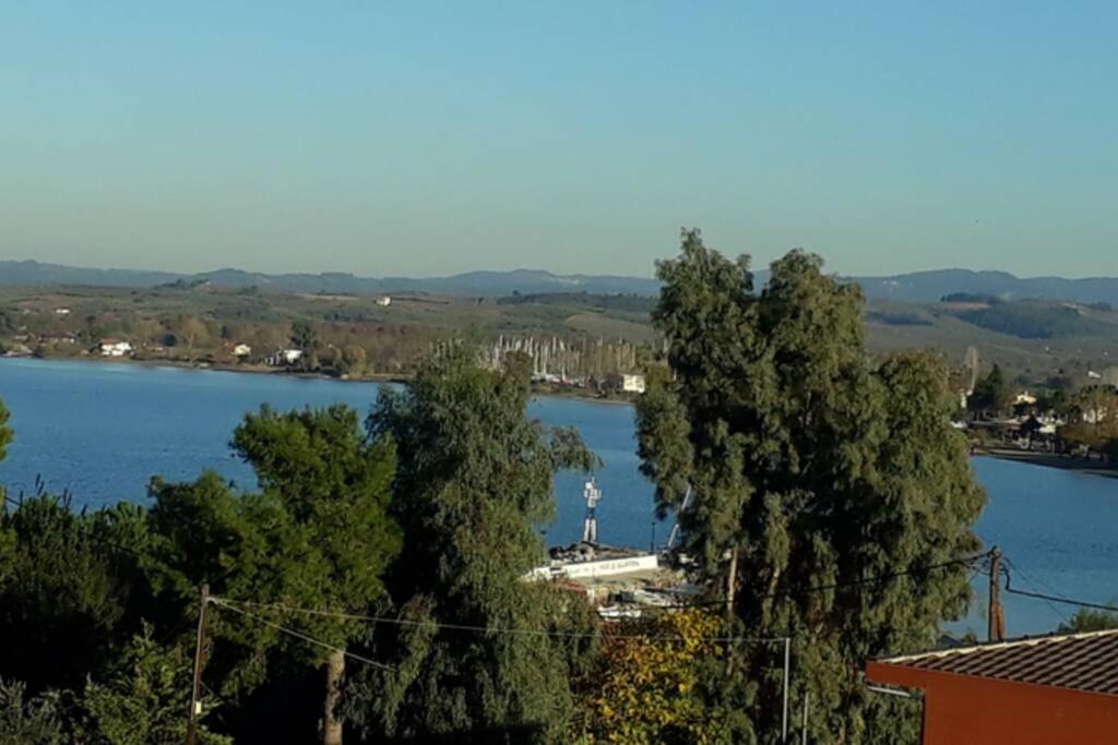 Amazing Sea View-Neos Pyrgos Beach -Evoia Greece Néos Pírgos Eksteriør billede