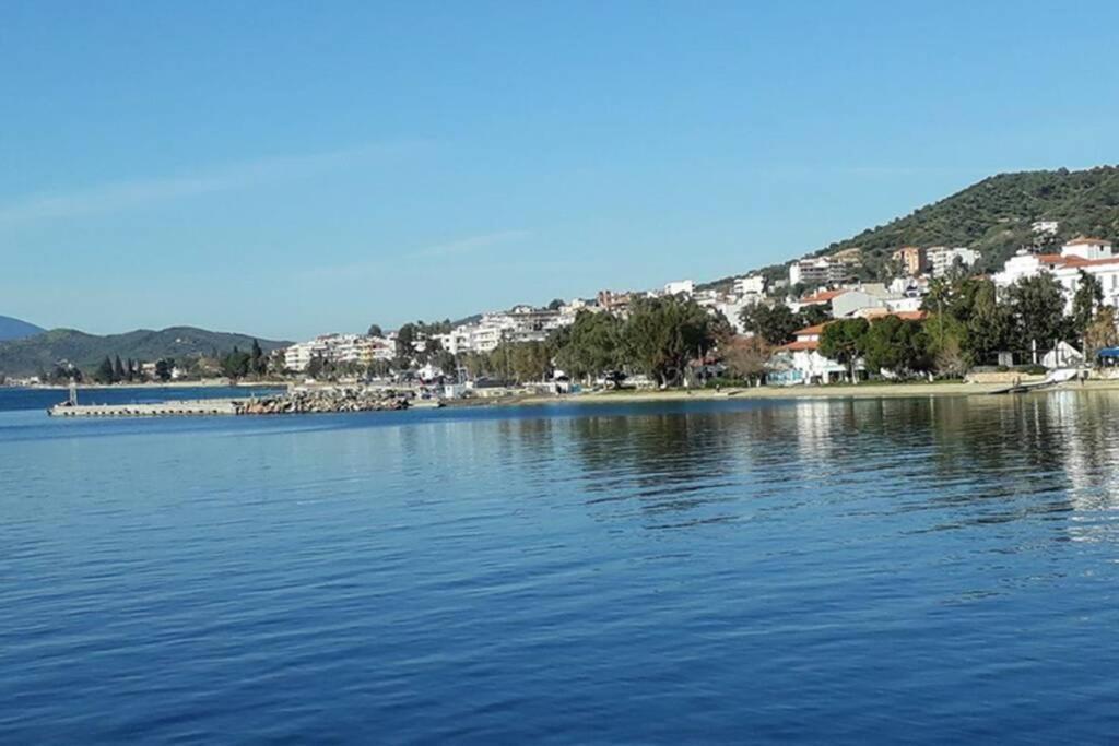 Amazing Sea View-Neos Pyrgos Beach -Evoia Greece Néos Pírgos Eksteriør billede