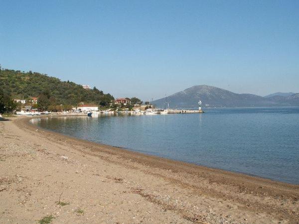Amazing Sea View-Neos Pyrgos Beach -Evoia Greece Néos Pírgos Eksteriør billede